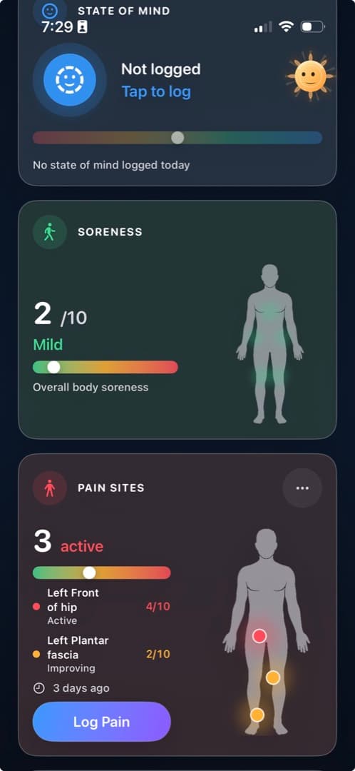 Diorama Today showing state of mind, soreness, and active pain sites together